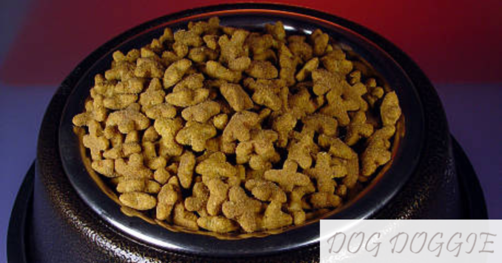 Most Asked Questions About Is Purina One Smartblend A Good Dog Food