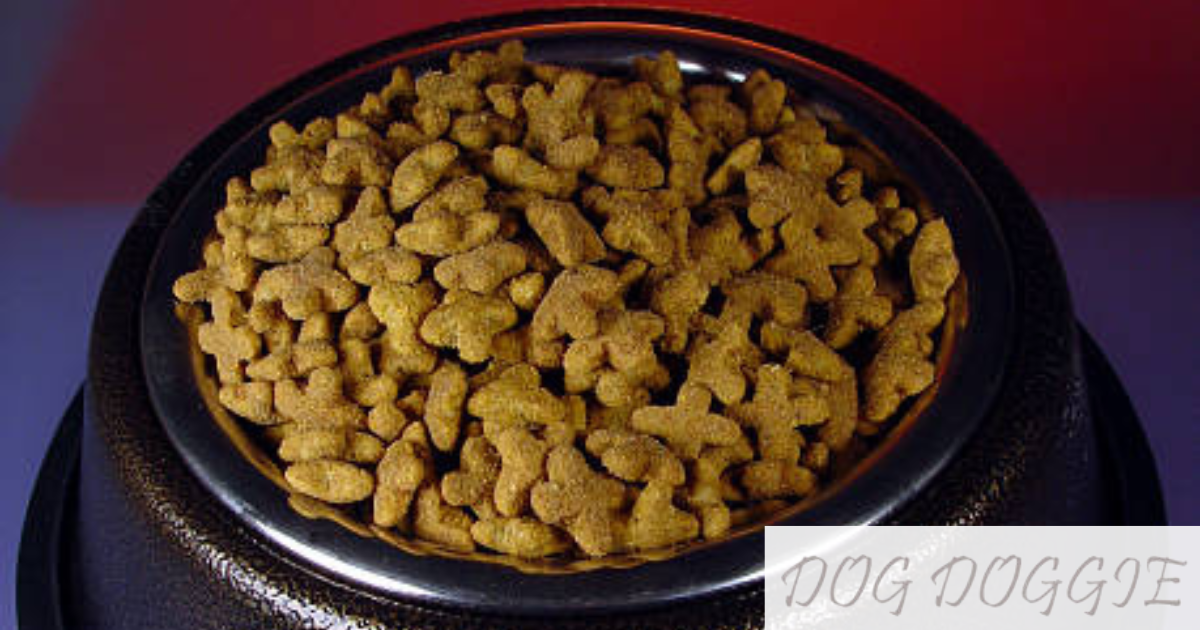 Most Asked Questions About Is Purina One Smartblend A Good Dog Food