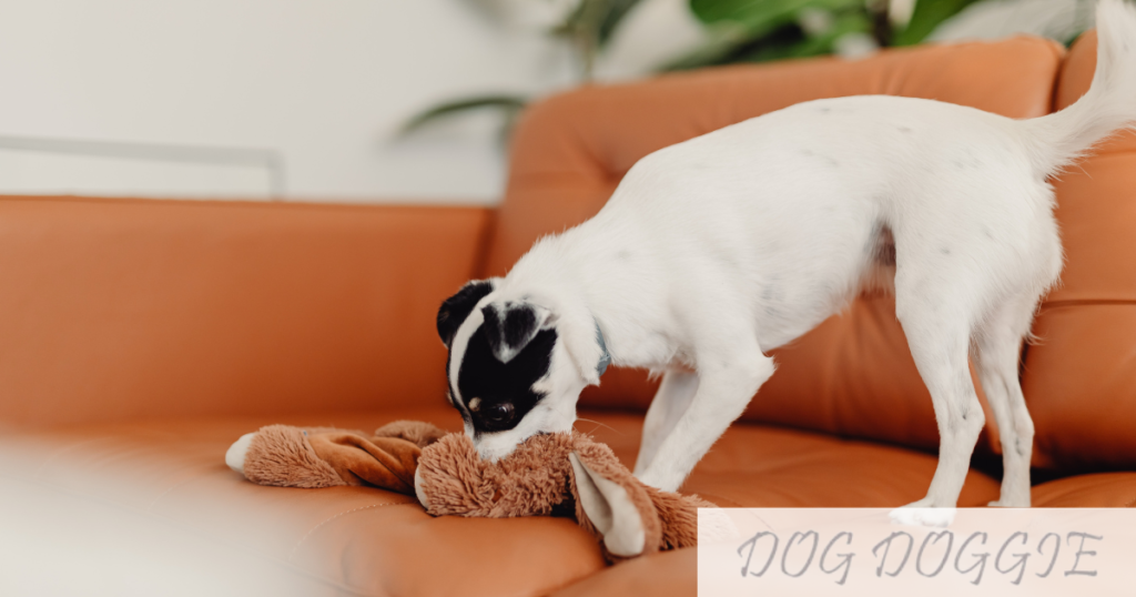 What are the best chew toys for teething puppies