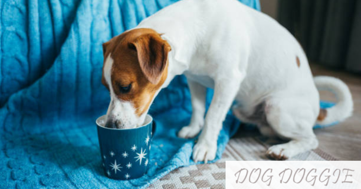 are pup cups bad for dogs