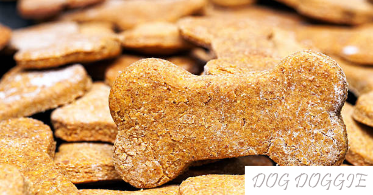 Dog Food: Give Your Pet The Most Nutritious Diet For Its Health