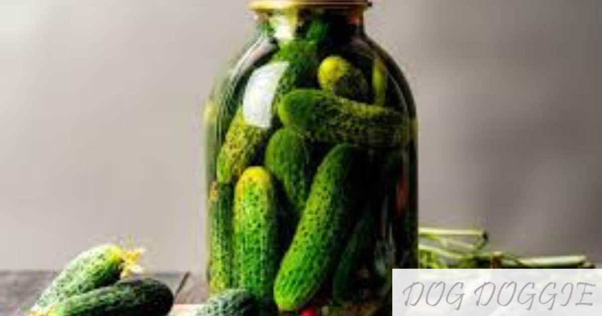 Are Pickles OK for Dogs