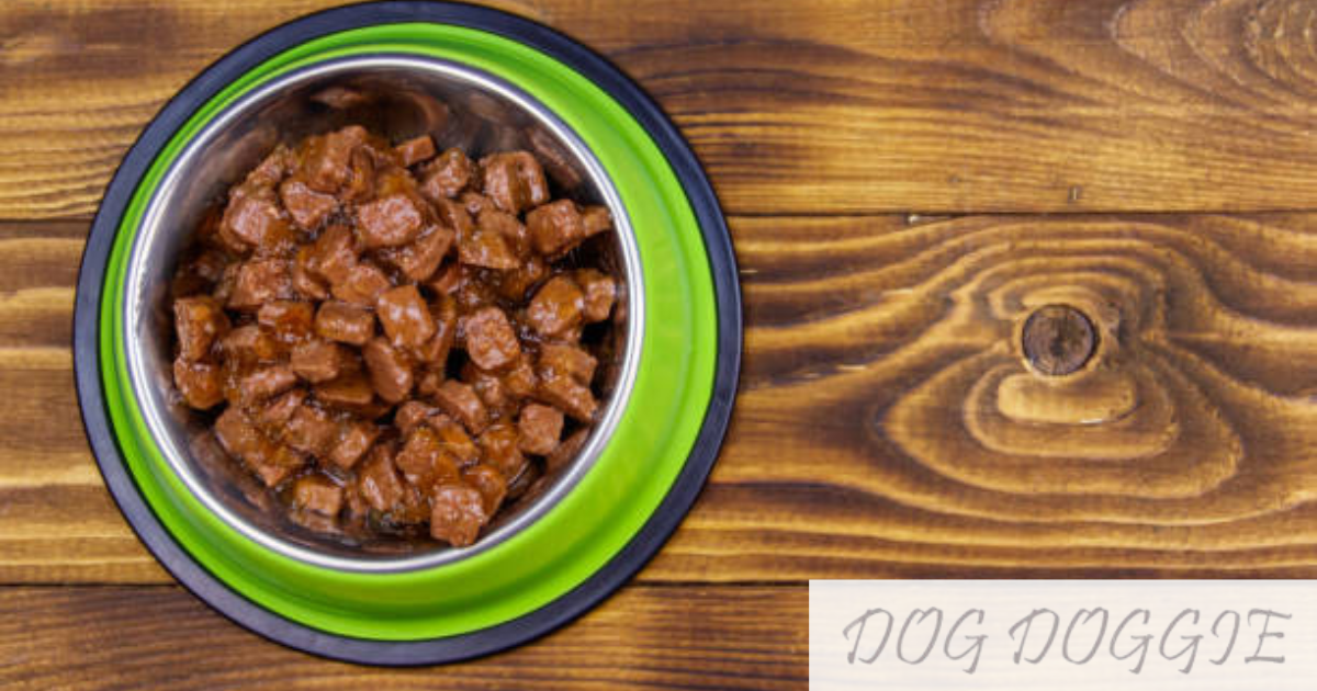 How Much To Feed A Dog Wet Food