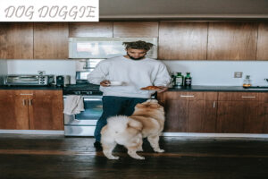 Best Price On Taste Of The Wild Dog Food