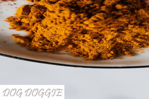 Can Dogs Taste Spicy Food Here's What You Need to Know